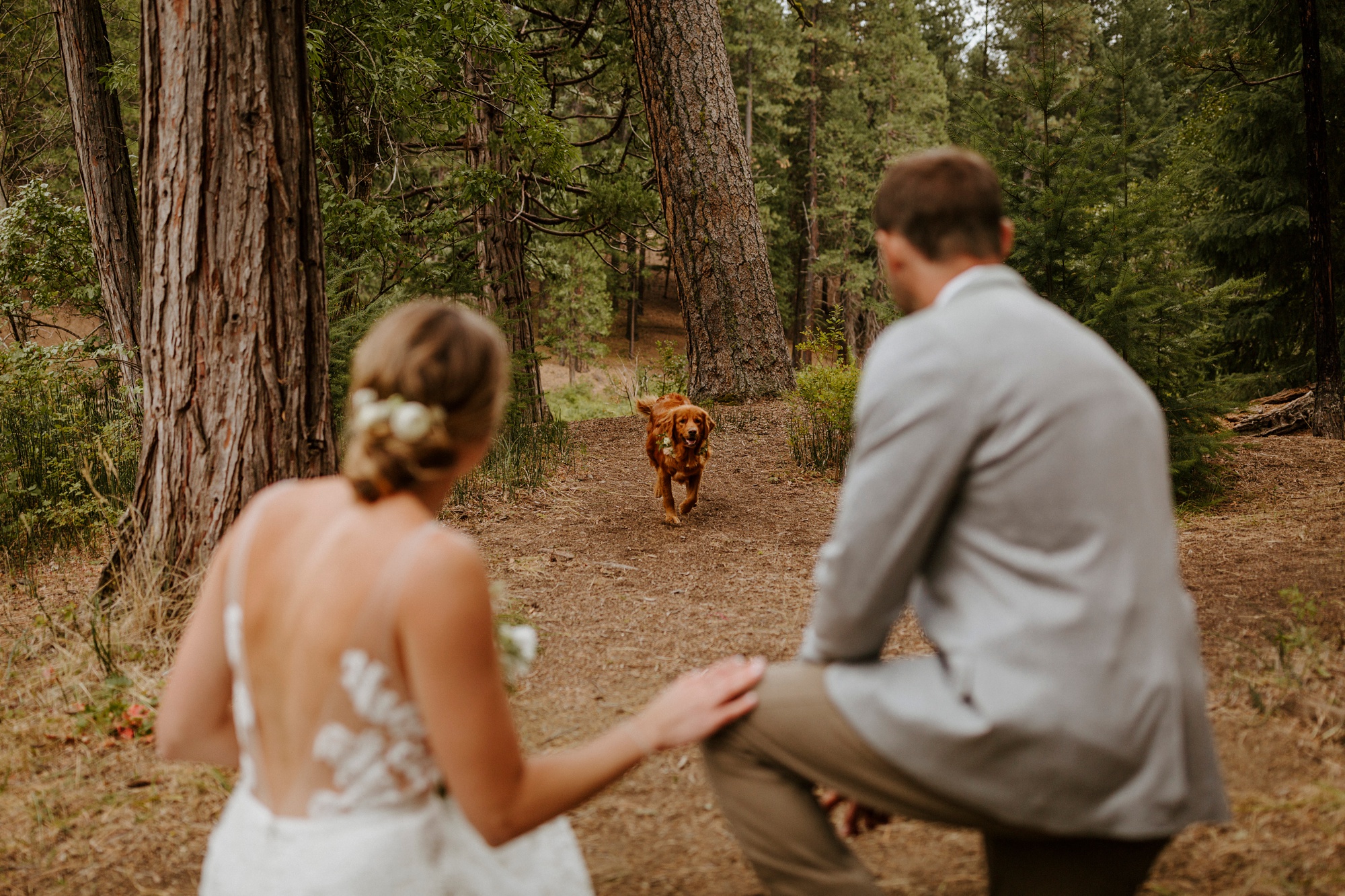 campground wedding central oregon bend outdoor adventure summer golden retriever dog