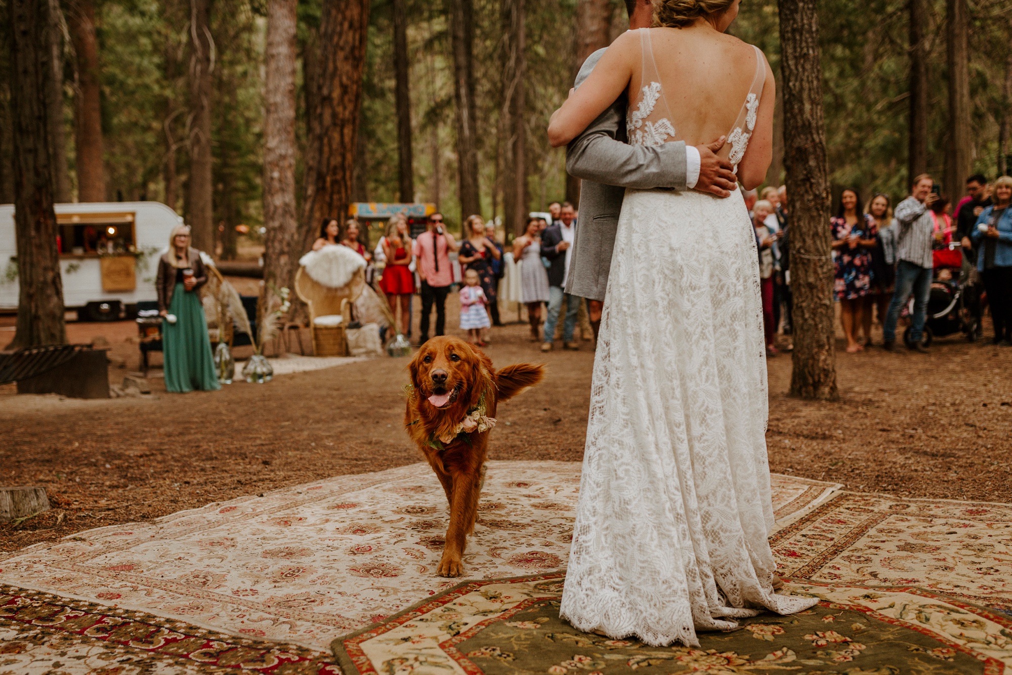 campground wedding central oregon bend outdoor adventure summer golden retriever dog