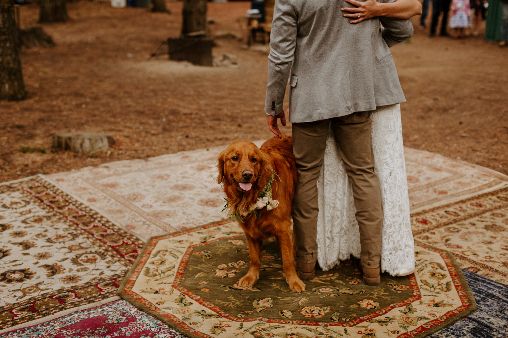 campground wedding central oregon bend outdoor adventure summer golden retriever dog