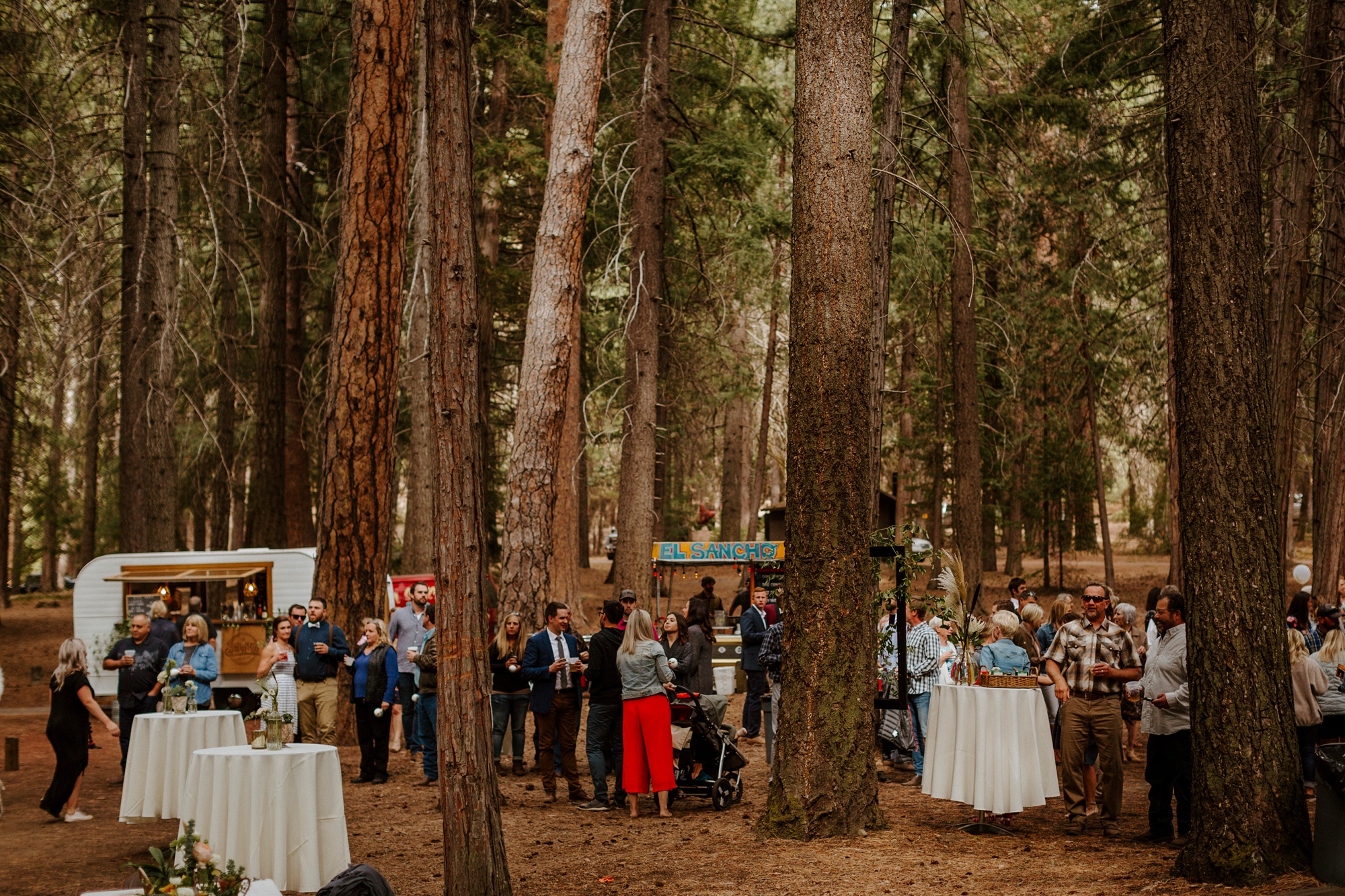 campground wedding central oregon bend outdoor adventure summer golden retriever dog