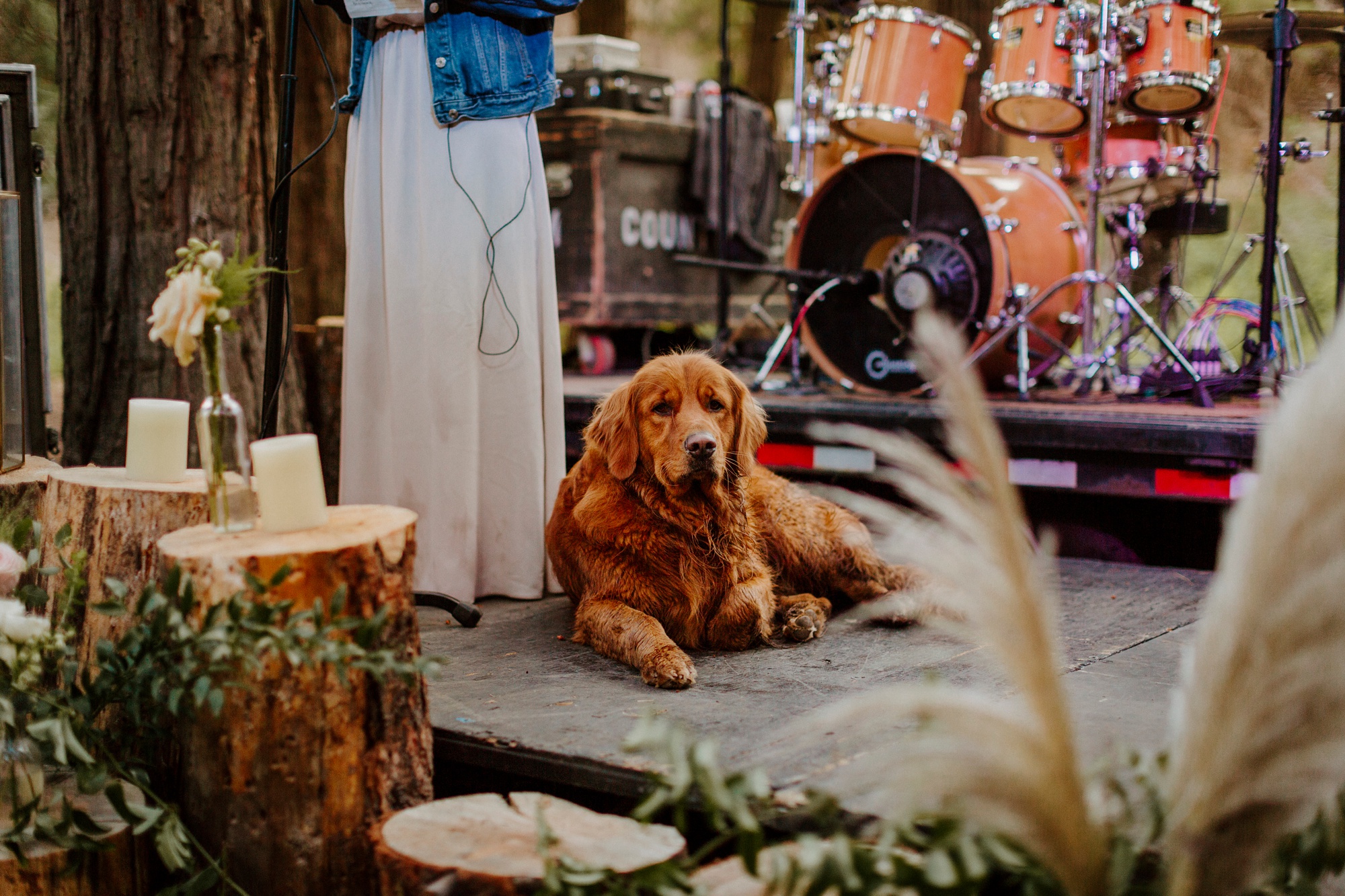 campground wedding central oregon bend outdoor adventure summer golden retriever dog