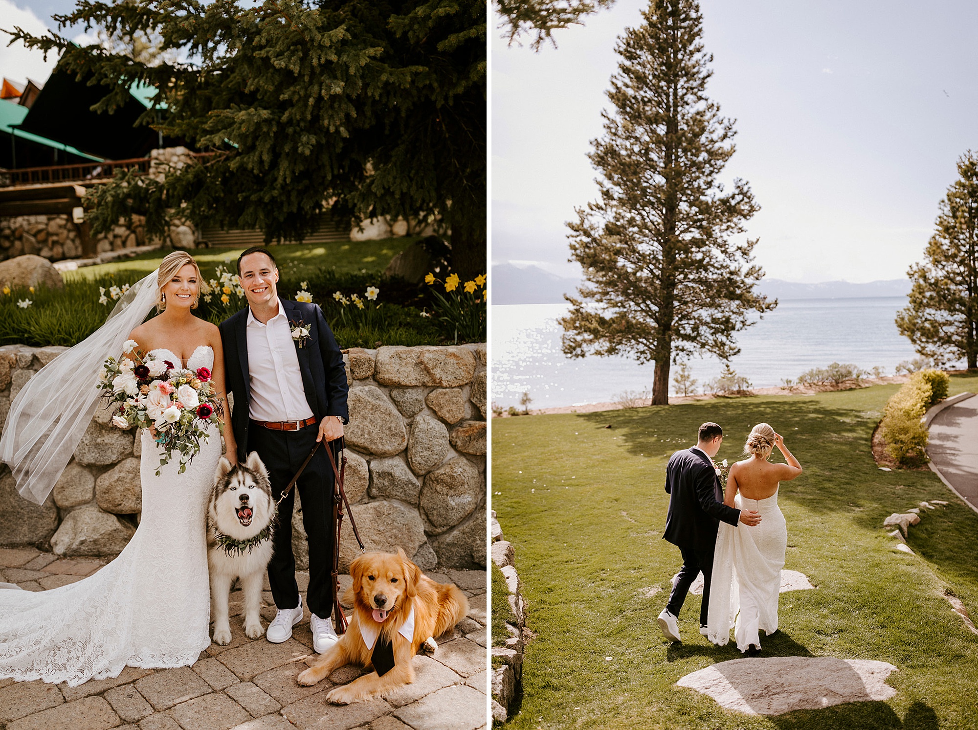 south lake tahoe wedding edgewood northern california nevada victoria carlson photography Dogs