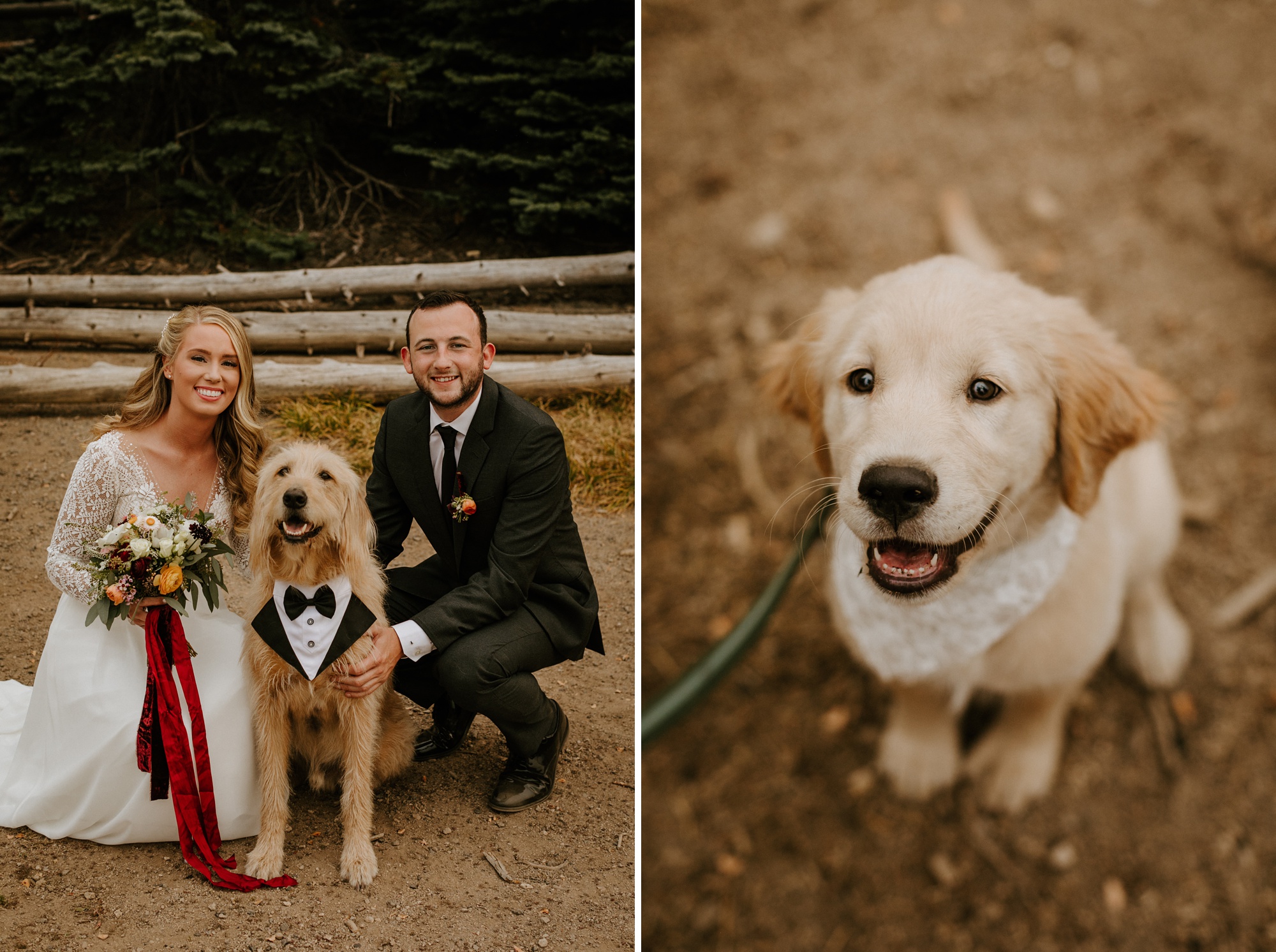 adventure wedding elopement cascade lakes highway sparks lake dogs bend central oregon summer puppy