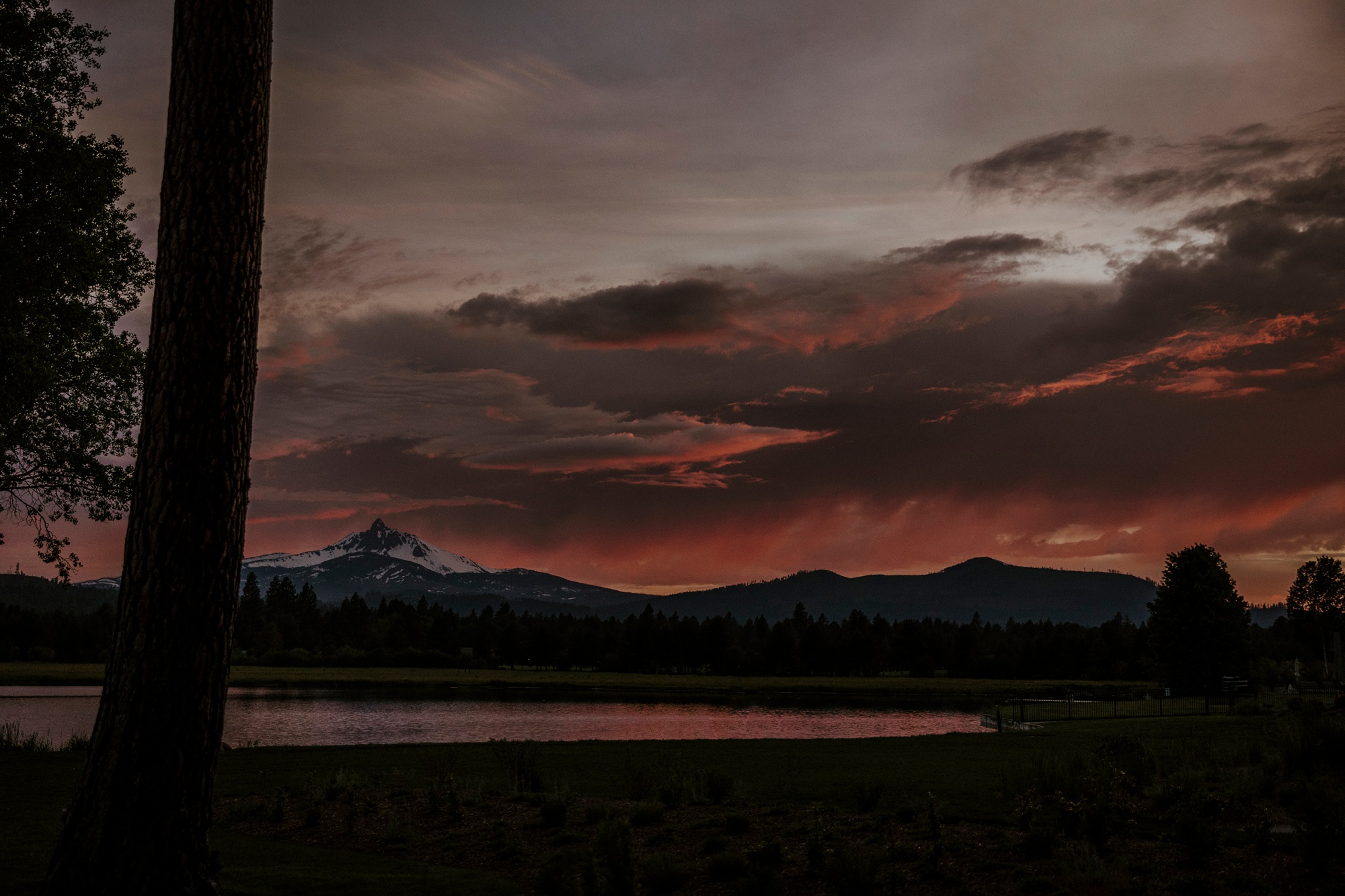 black butte ranch, happy, colorful, summer, wedding, modern, victoria carlson photography, mountains, sisters, oregon