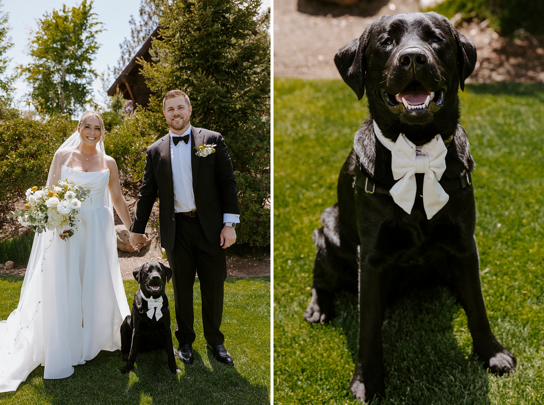 Tetherow Resort Bend Oregon Spring May Wedding Golf Course Yellow Flowers Bright Sunny Victoria Carlson Actually Ashley Dog