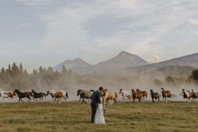 Horse Stampede Wedding